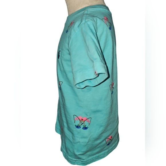 Ralph Lauren Toddler Boys Flamingo Print Cotton Jersey T-Shirt Sz 2T EUC - Picture 5 of 8